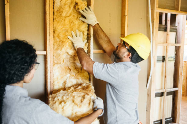 Best Best Insulation Companies  in USA